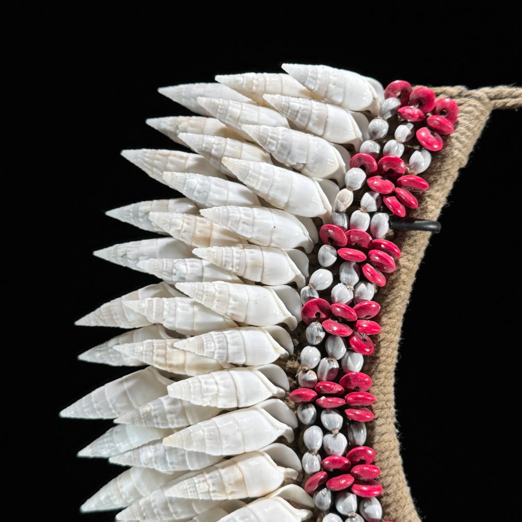 Zierornament - NO RESERVE PRICE - SN16 - Decorative Shell Necklace on a custom stand - Papua Neuguinea #3.2
