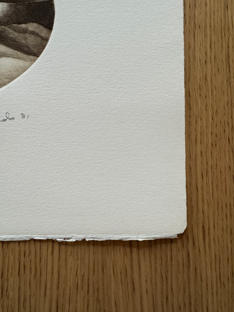 Rolando, aka Rolando Campos (1947-1998) - Bodegón, 1981 #3.2