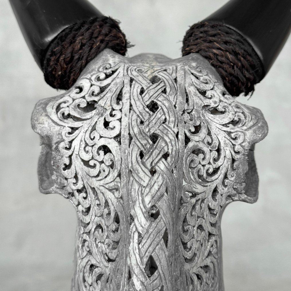 无底价 - 正品灰色手工 - 雕刻山羊骷髅 - 无限图案 雕刻的颅骨 - Capra aegagrus - 38 cm - 22 cm - 18 cm- 非《濒危物种公约》物种 - (1) #4.3