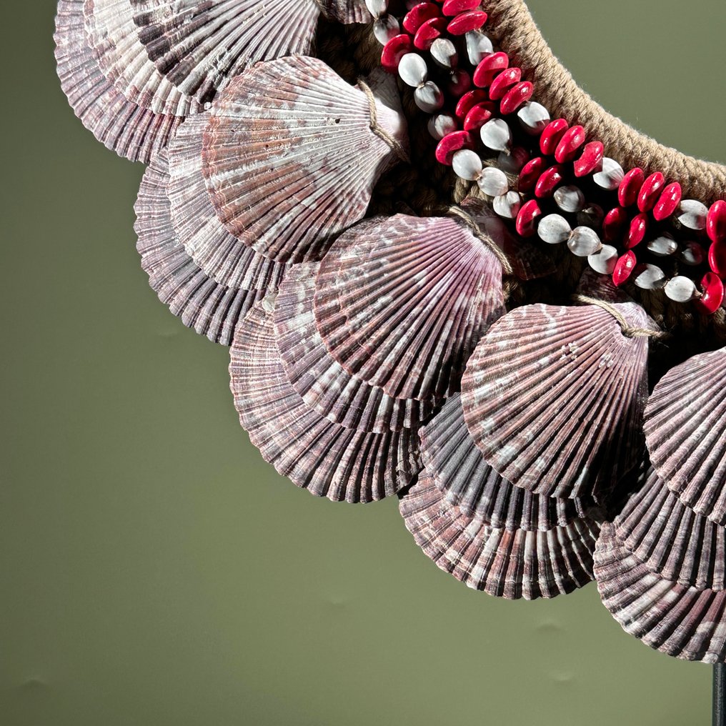 裝飾飾物 - NO RESERVE PRICE - SN9 - Decorative shell necklace on a custom stand - 巴布亞紐幾內亞 #4.3