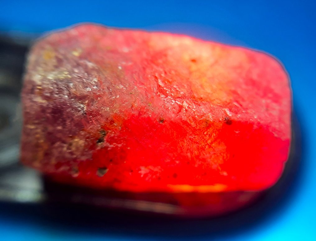 101,5 ct - onbehandelde robijn Ruw- 20.3 g #2.1