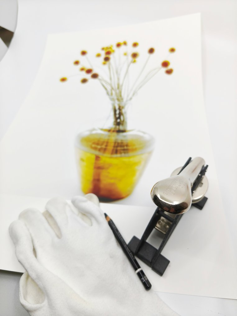 oliver hadji - flowers III #4.3