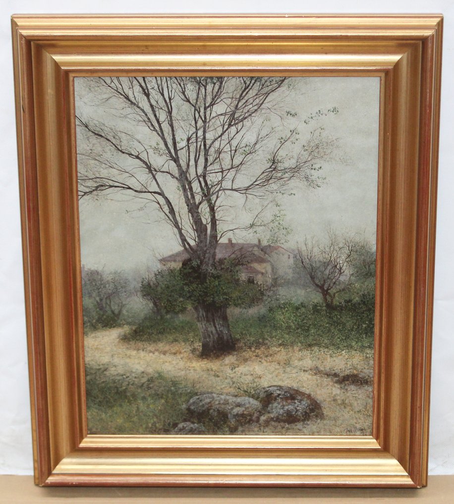 Ana Muñoz Reyes (1947) - Mañana de niebla #1.0