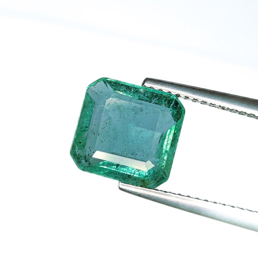 Bez ceny minimalnej
Szmaragd - 3.28 ct - International Gemological Institute (IGI) #3.2