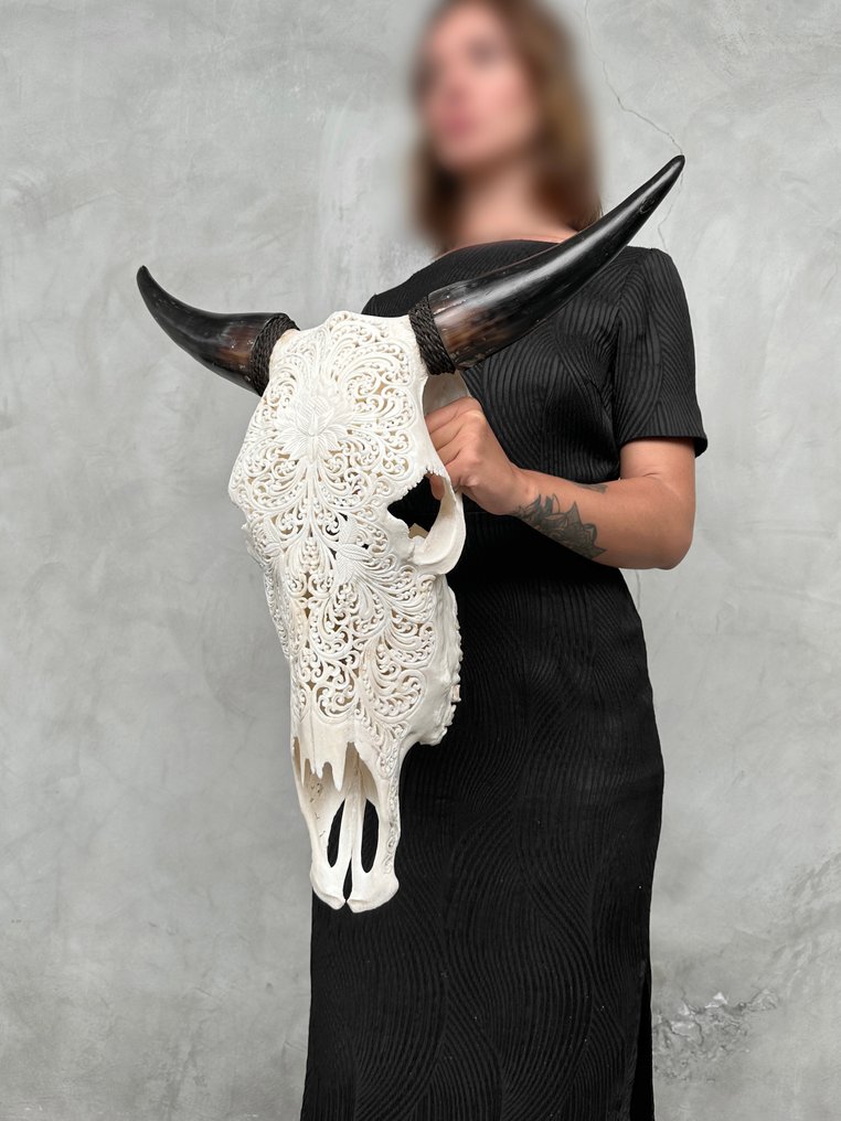 无底价 - 正品大型白色手工雕刻牛头骨 - 大莲花图案 雕刻的颅骨 - Bos Taurus - 60 cm - 55 cm - 18 cm- 非《濒危物种公约》物种 -  (1) #4.3