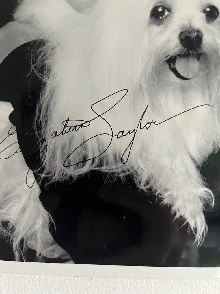 Photographie originale avec autographe Elizabeth Taylor  Format 25 × 20 cm #1.0