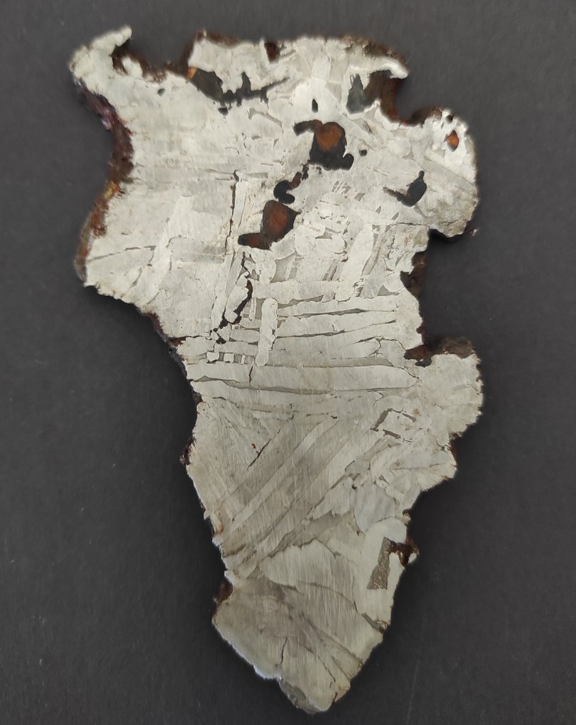 Seymchan Meteorit Scheibe - Höhe: 0.03 cm - Breite: 7 cm- 116 g - (1) #1.0