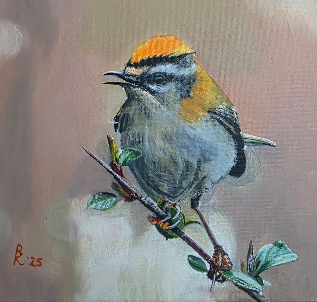 R.Benda(1953) - Vuurgoudhaantje #1.0