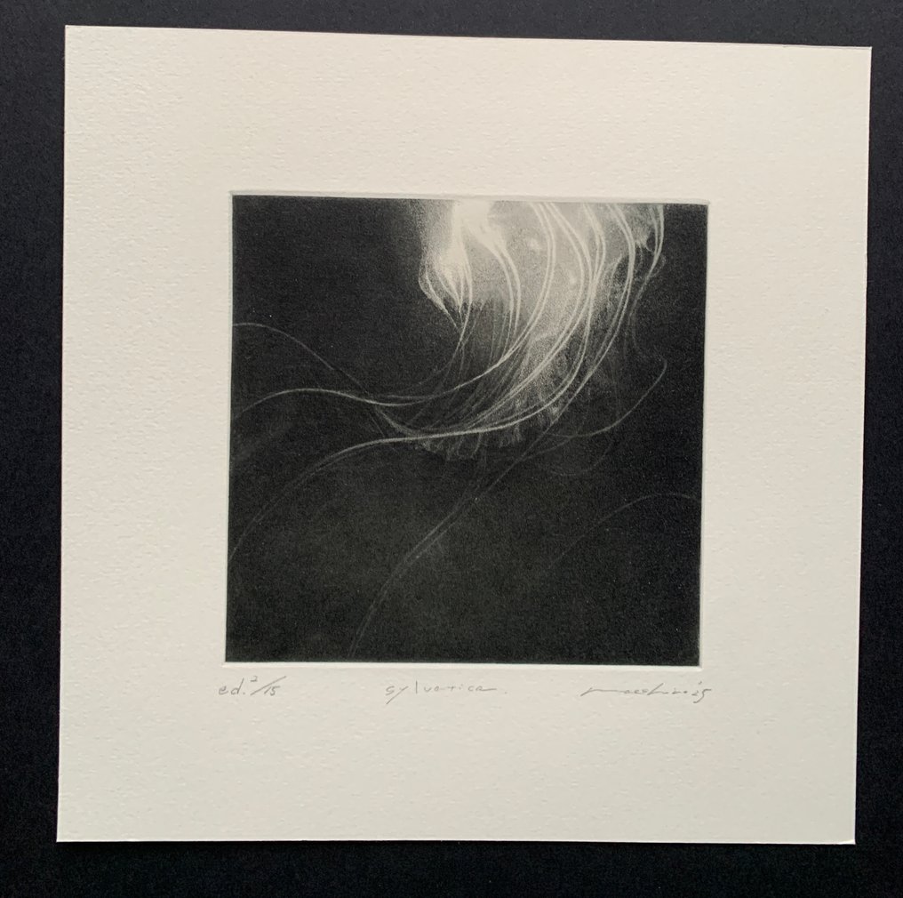 Sylvatica - Riko Maeshiro 真栄城理子 (b 1992) - Japani #1.0