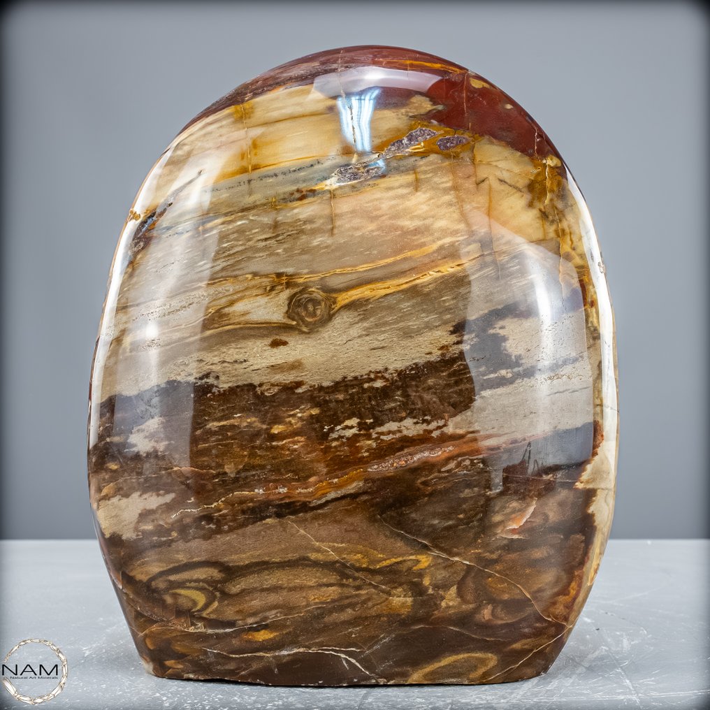 Forma libre de madera petrificada pulido a mano- 2863.75 g #1.0