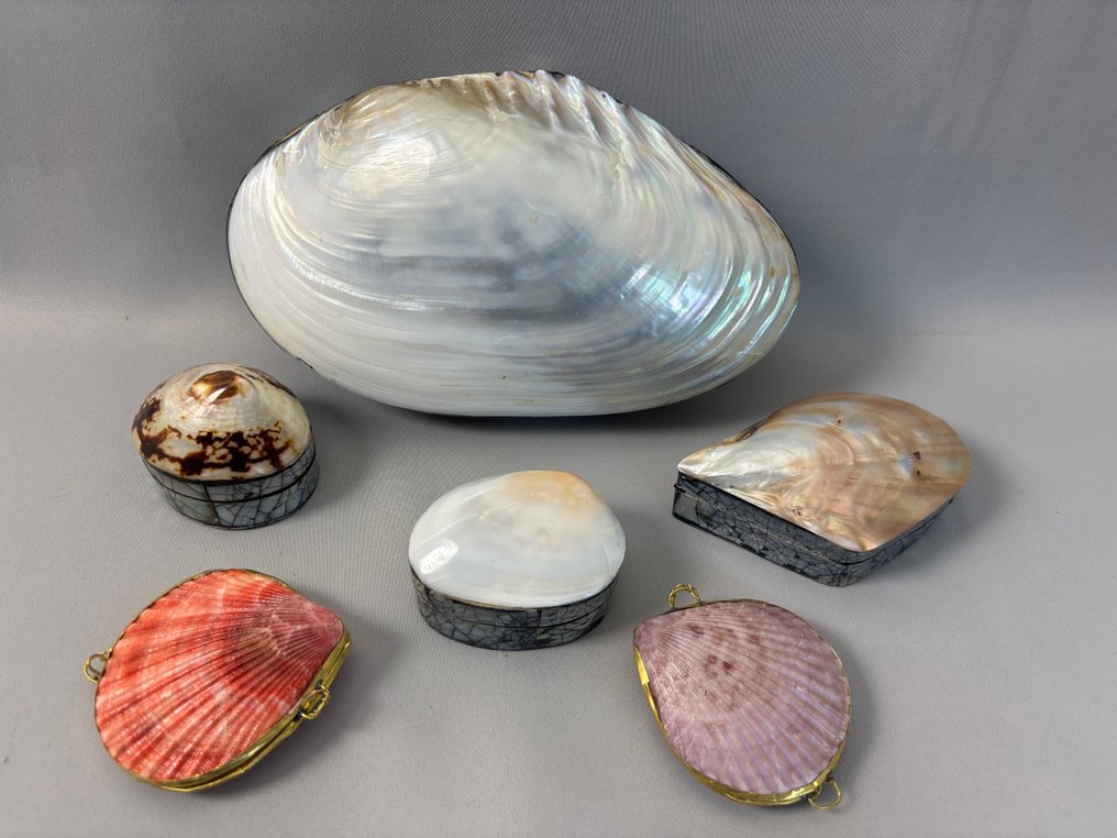 geen merk - sieradendoosjes van schelpen - Smykkeetui #1.0