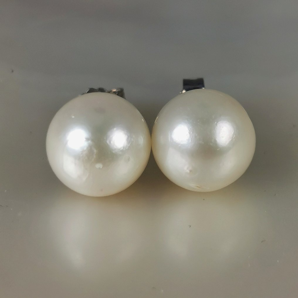 Senza prezzo di riserva - Orecchini Argento Perla - Huge Southsea RD 10,95mm #2.1