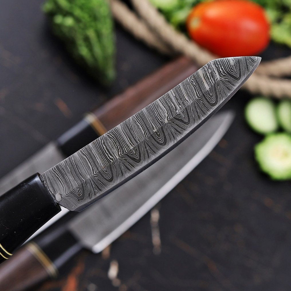 厨刀 - Chef's knife -  Japanese Style-PT-52 - 钢, 木 - 葡萄牙 - 日本钢刀套装 #3.2