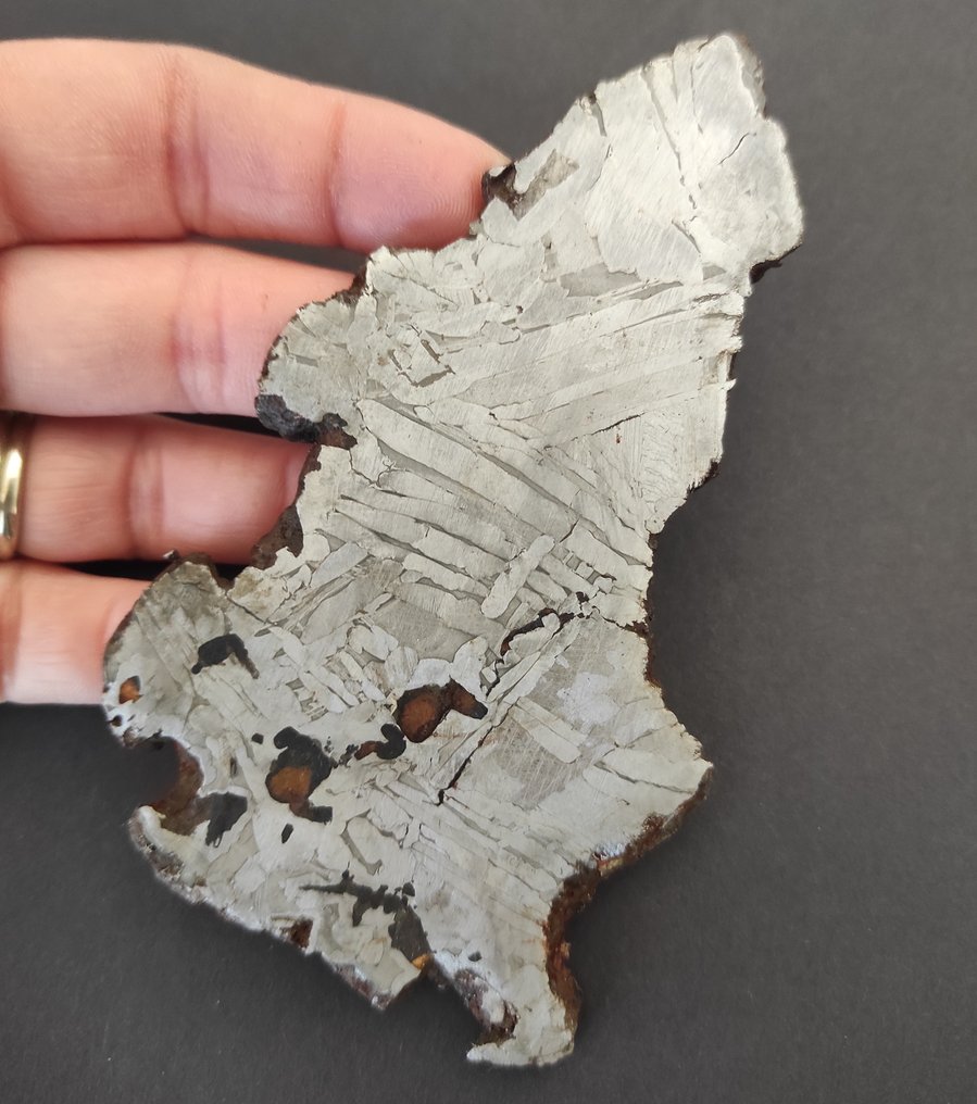 Seymchan Meteorit Scheibe - Höhe: 0.03 cm - Breite: 7 cm- 116 g - (1) #3.2