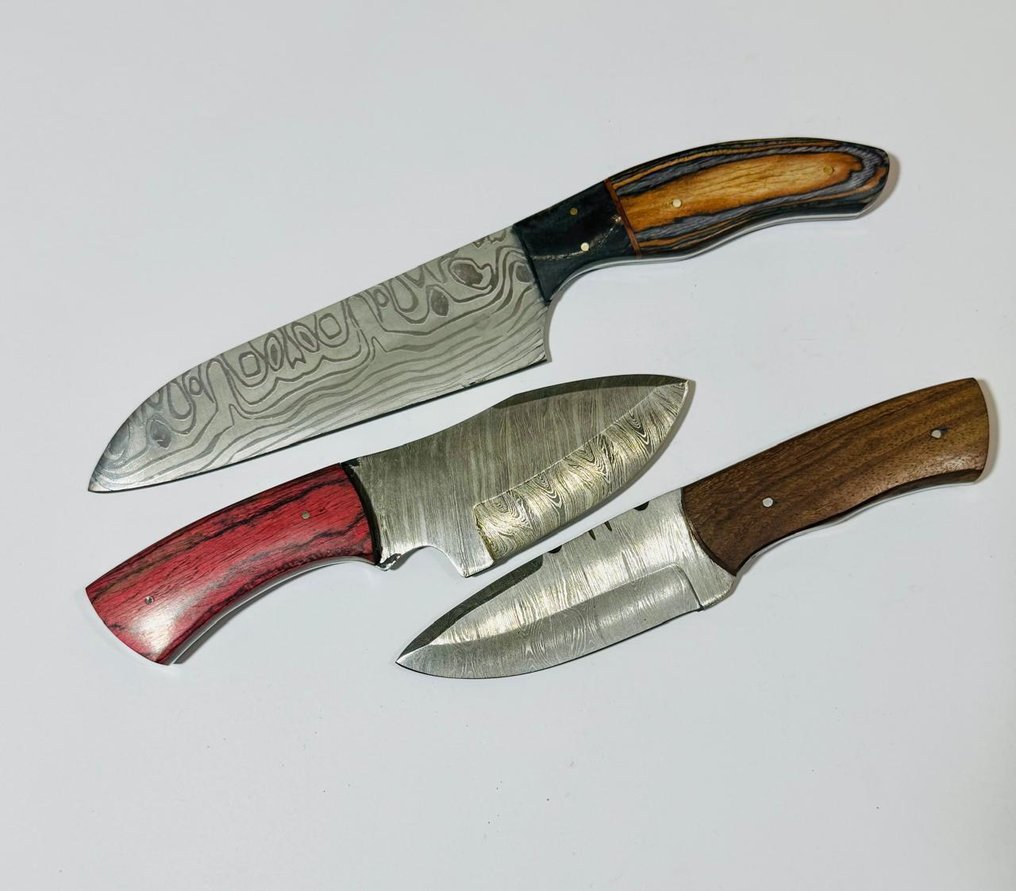 Μαχαίρι κουζίνας - Μαχαίρι τραπεζιού κουζίνας (0101) - Χειρολαβή από διπλωμένο ατσάλι και εξωτικά ξύλα. - Ηνωμένες Πολιτείες - Μαχαίρι τραπεζαρίας #4.3