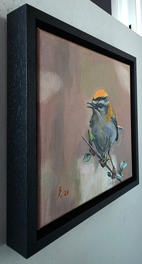 R.Benda(1953) - Vuurgoudhaantje #2.1