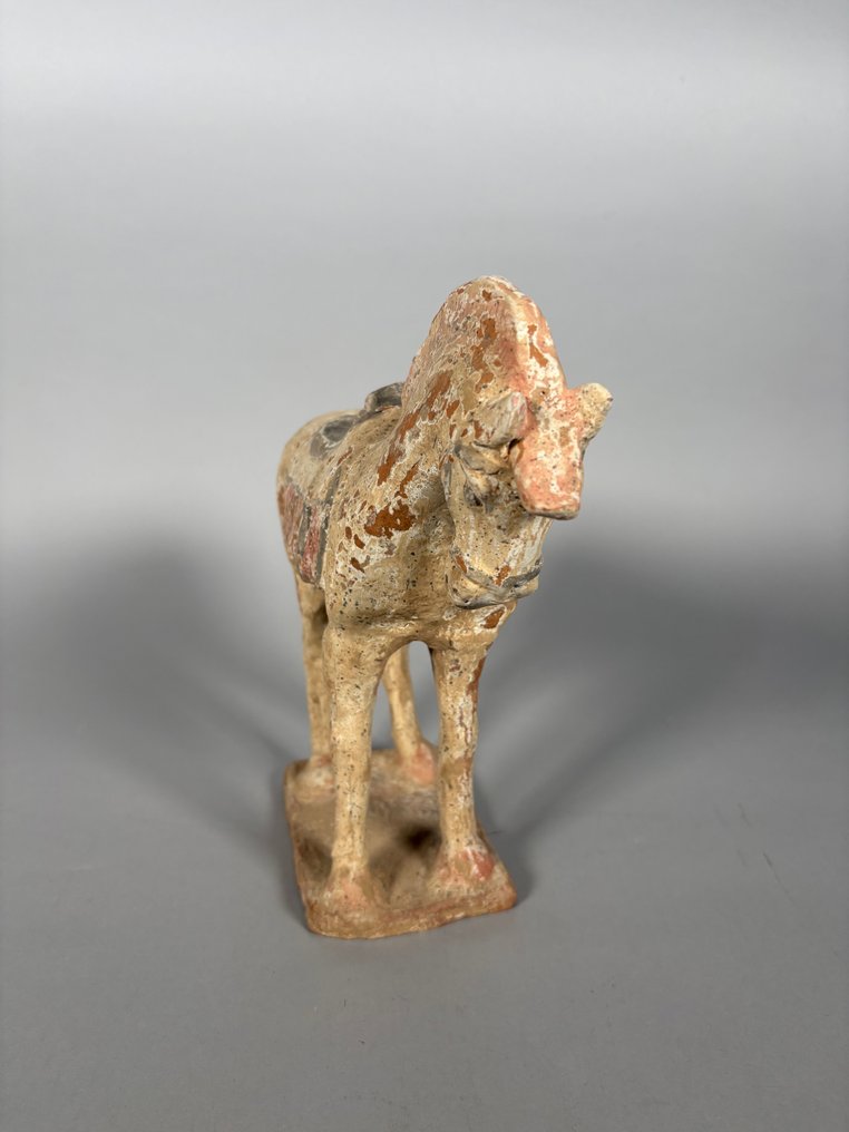 陶土马，唐朝 618-907 年 雕塑 - 29 cm #1.0