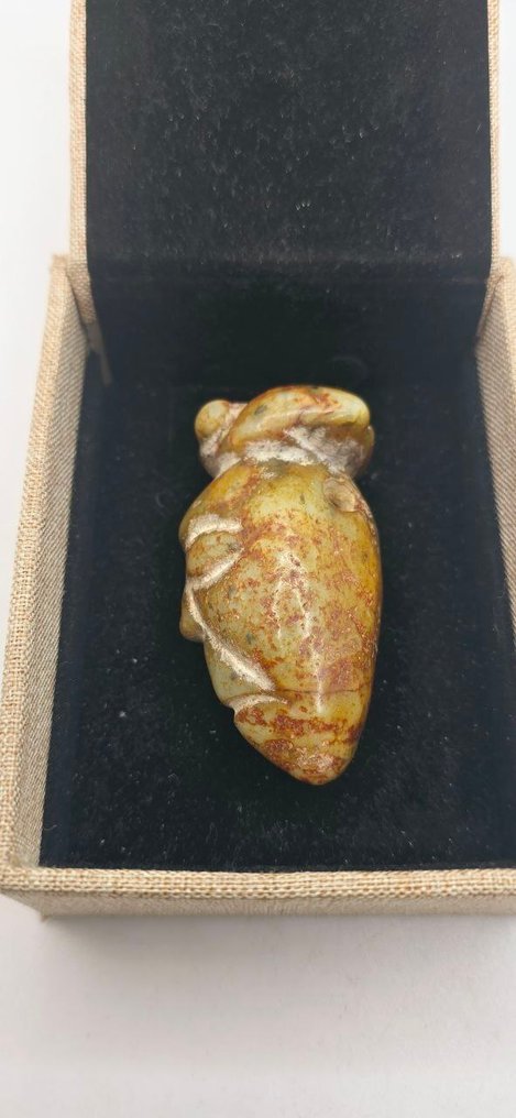 Amuleto Nefritis - Amuleto - Amuleto Nefritis #1.0