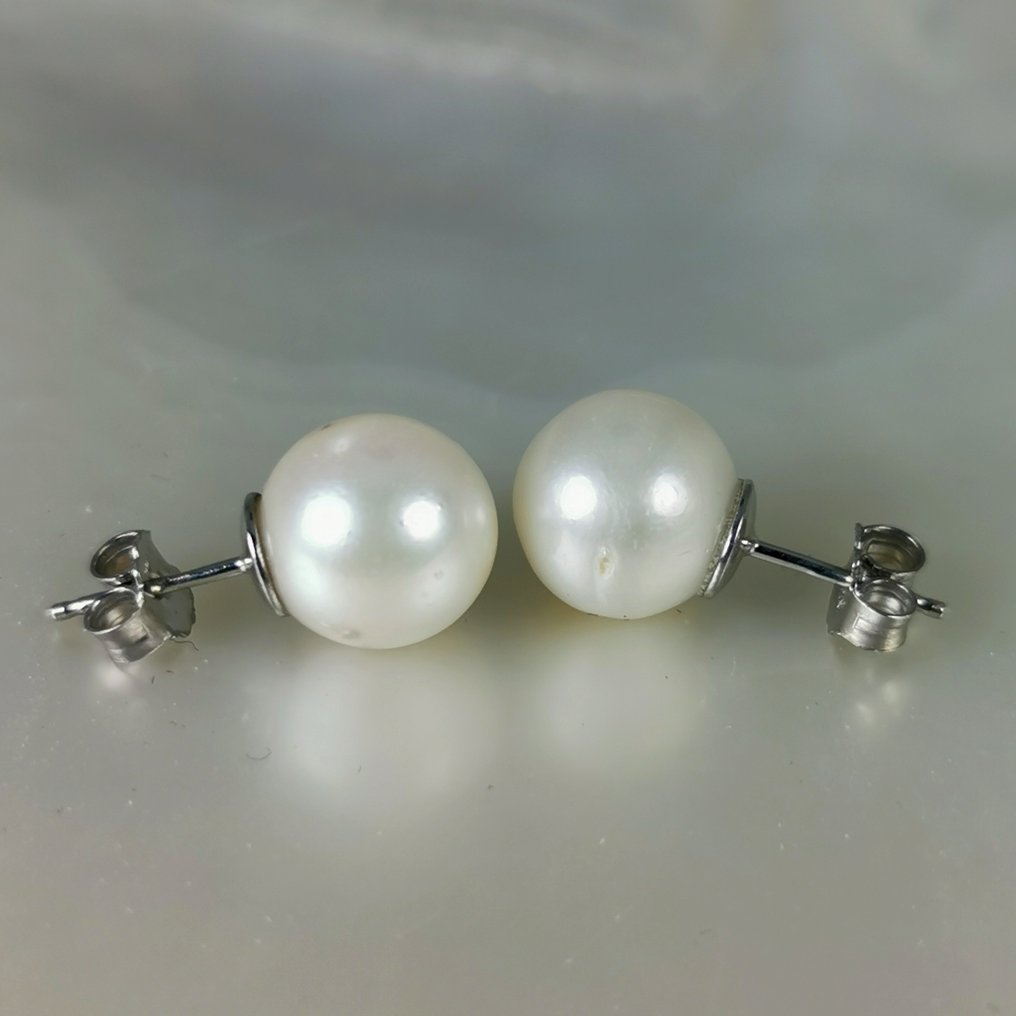 Senza prezzo di riserva - Orecchini Argento Perla - Huge Southsea RD 10,95mm #1.0