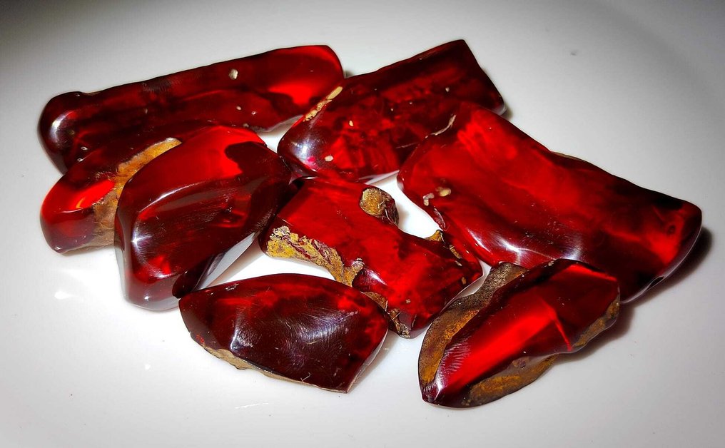 Dominicaanse amber!! AAA-kwaliteit - 350 cts- 70 g #1.0