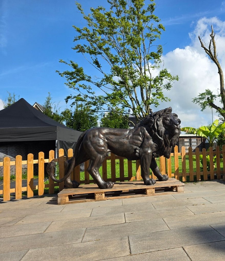 Statue, XXL Lion 230cm - Guard 205kg - 140 cm - Bronse #2.1