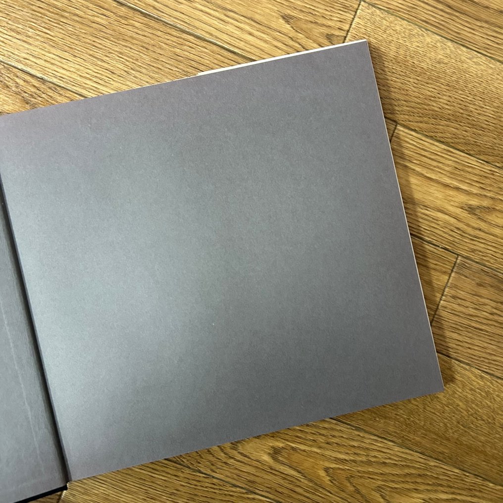 Lee Friedlander - Lee Friedlander - 1987 #2.1