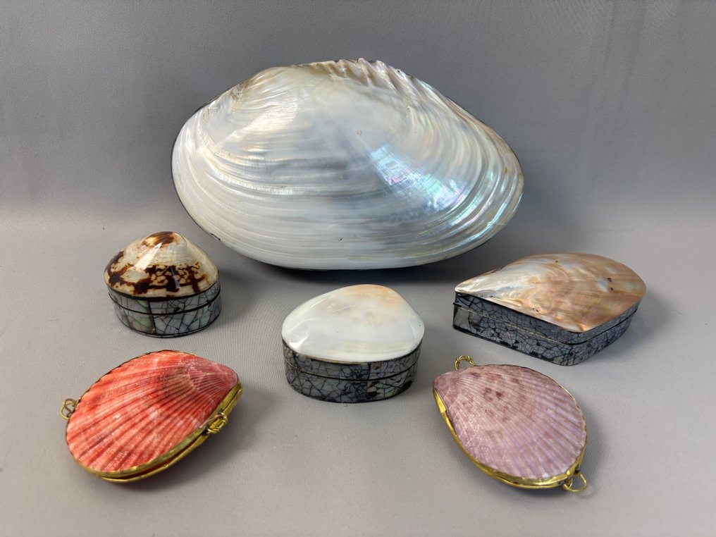 geen merk - sieradendoosjes van schelpen - Smykkeetui #1.0