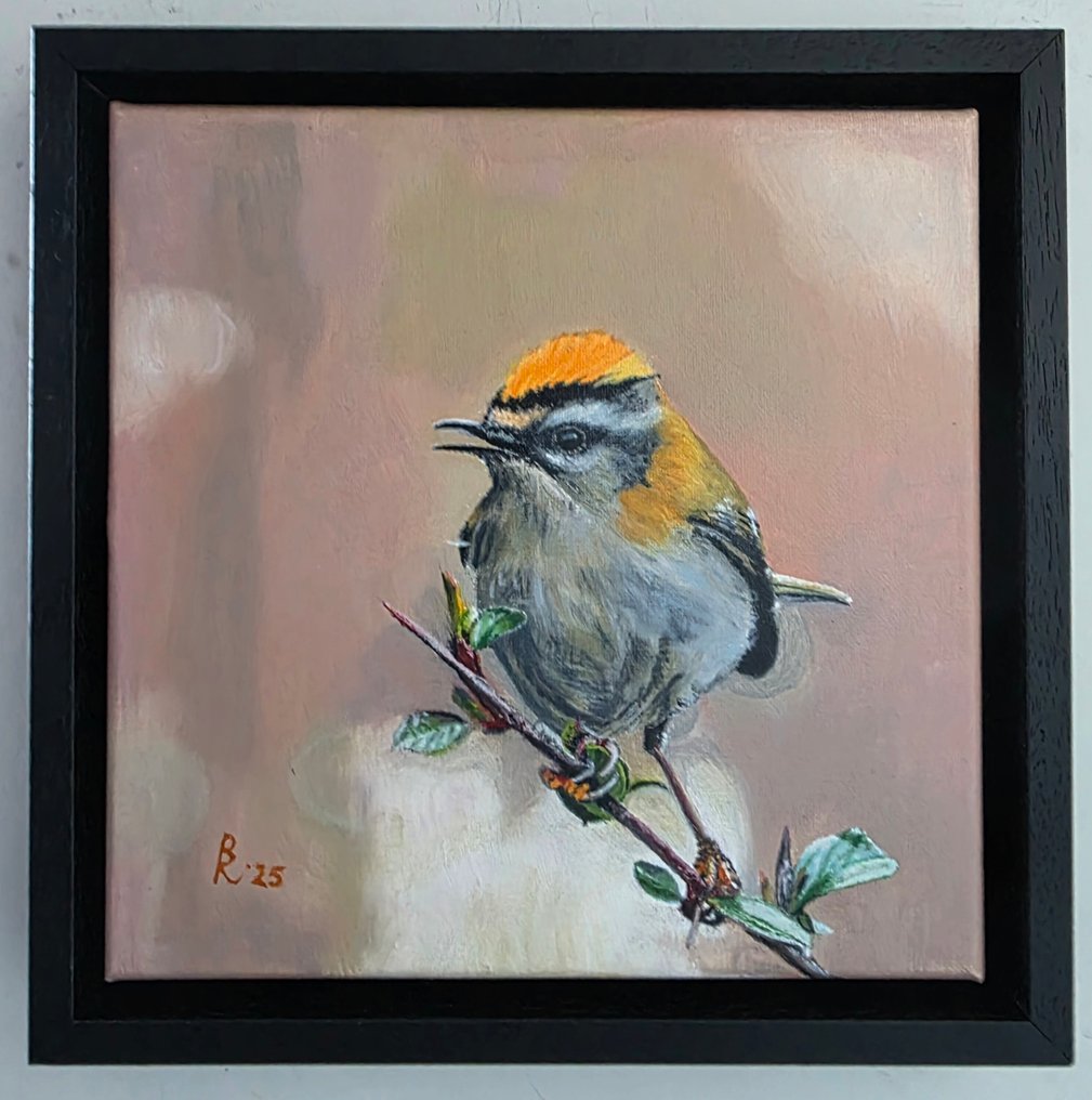 R.Benda(1953) - Vuurgoudhaantje #1.0