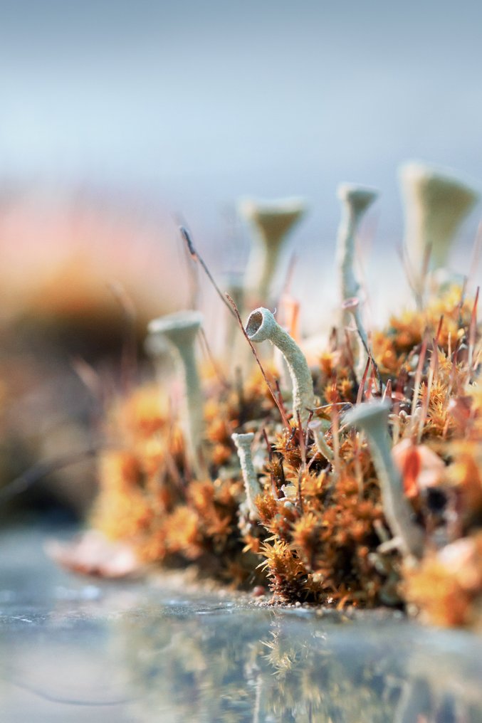 Inna Etuvgi - Fishing #1.0