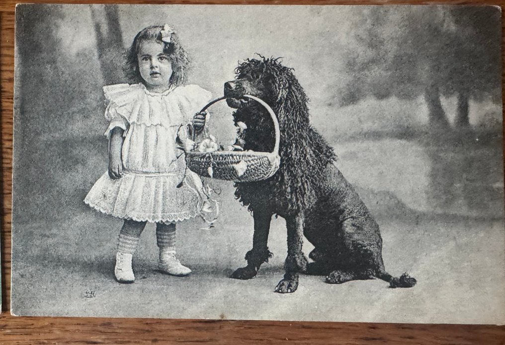 al câinelui - Carte poștală (57) - 1900-1950 #4.3