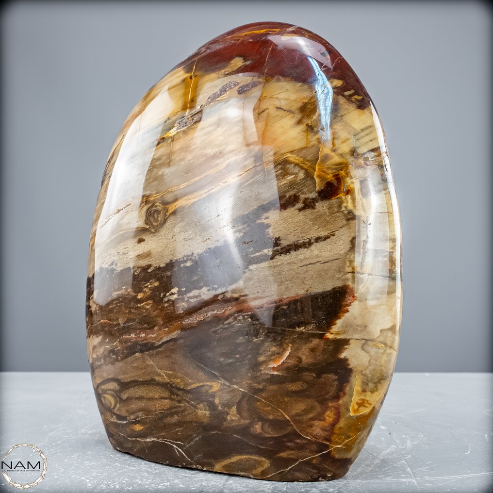 Forma libre de madera petrificada pulido a mano- 2863.75 g #1.0