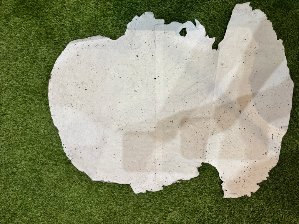 D*Face (1978) - Cli-Che', 2007 #2.1