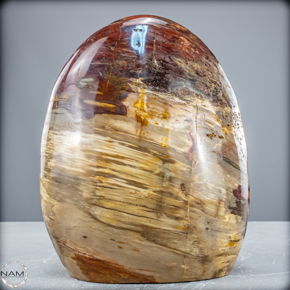 Forma libre de madera petrificada pulido a mano- 2863.75 g #2.1