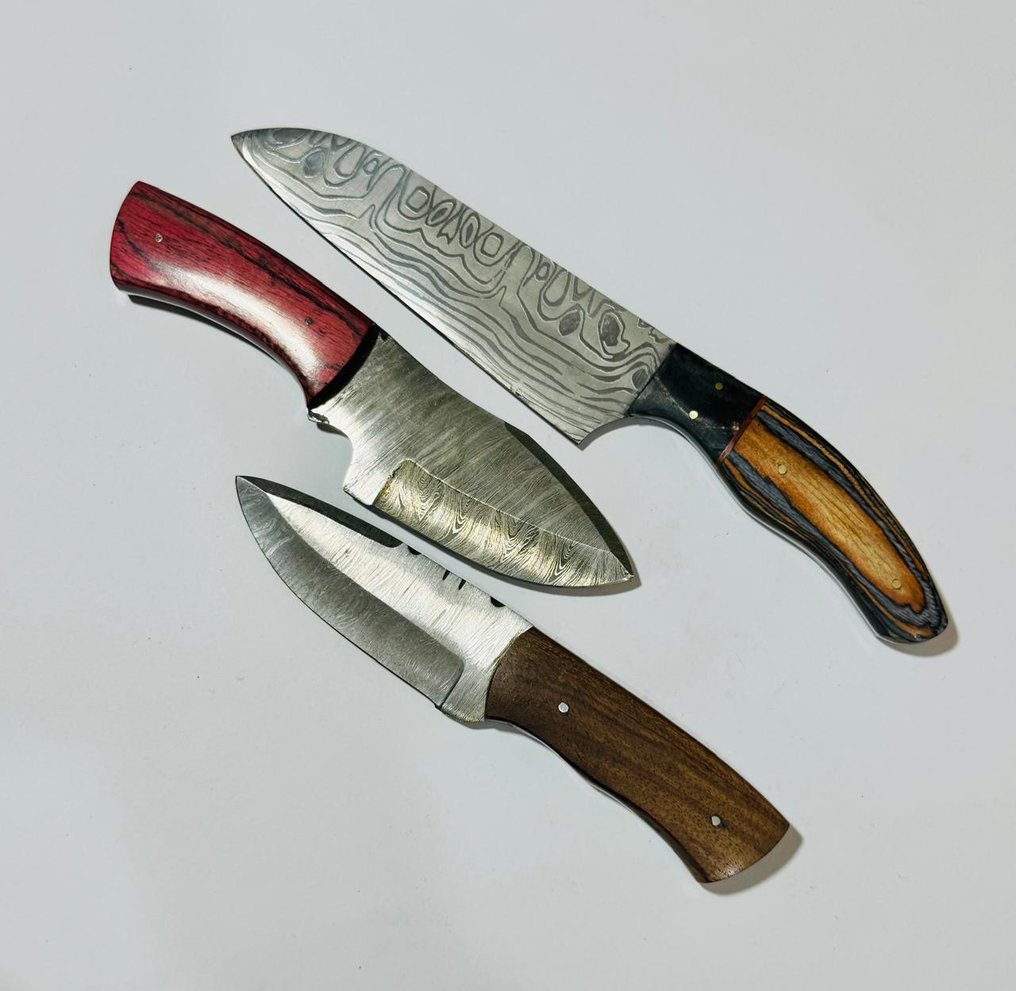 Μαχαίρι κουζίνας - Μαχαίρι τραπεζιού κουζίνας (0101) - Χειρολαβή από διπλωμένο ατσάλι και εξωτικά ξύλα. - Ηνωμένες Πολιτείες - Μαχαίρι τραπεζαρίας #3.2