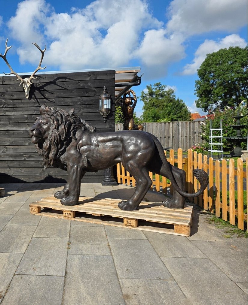 Estátua, XXL Bronze Lion 230cm - Guard 205kg - 140 cm - Bronze #1.0