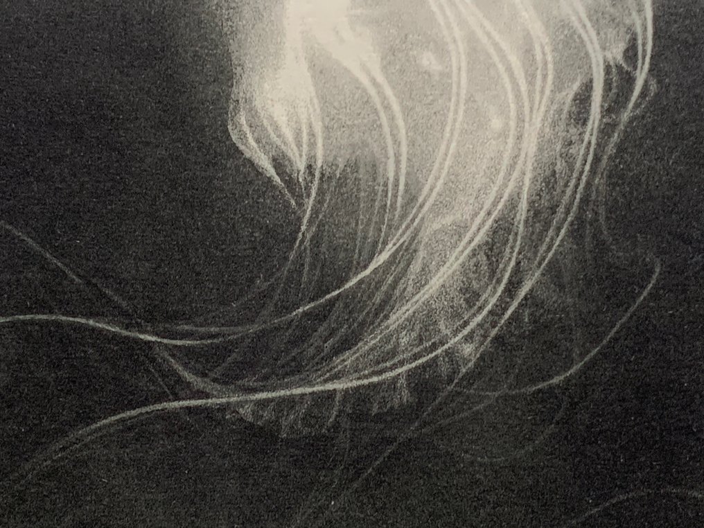 Sylvatica - Riko Maeshiro 真栄城理子 (b 1992) - Japani #2.1