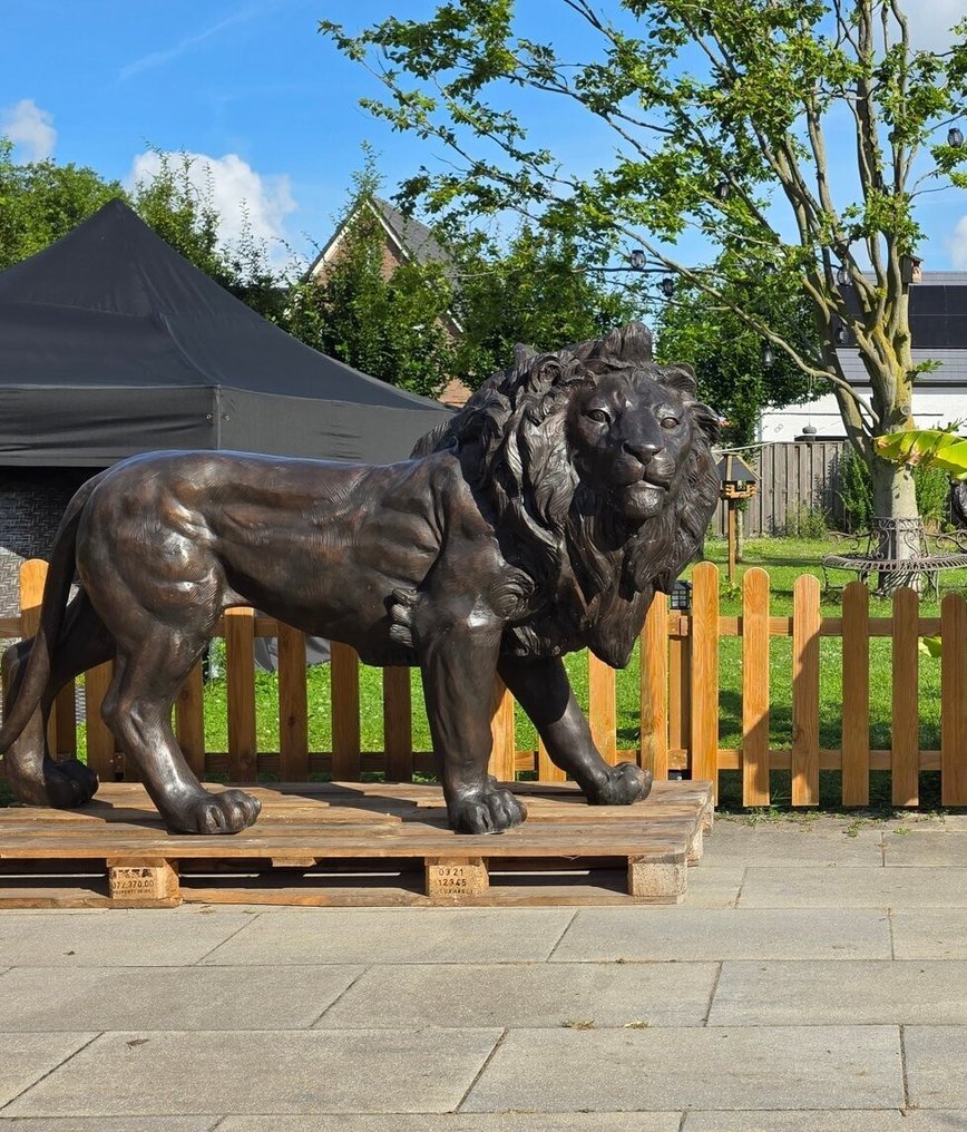 Statue, XXL Lion 230cm - Guard 205kg - 140 cm - Bronse #1.0