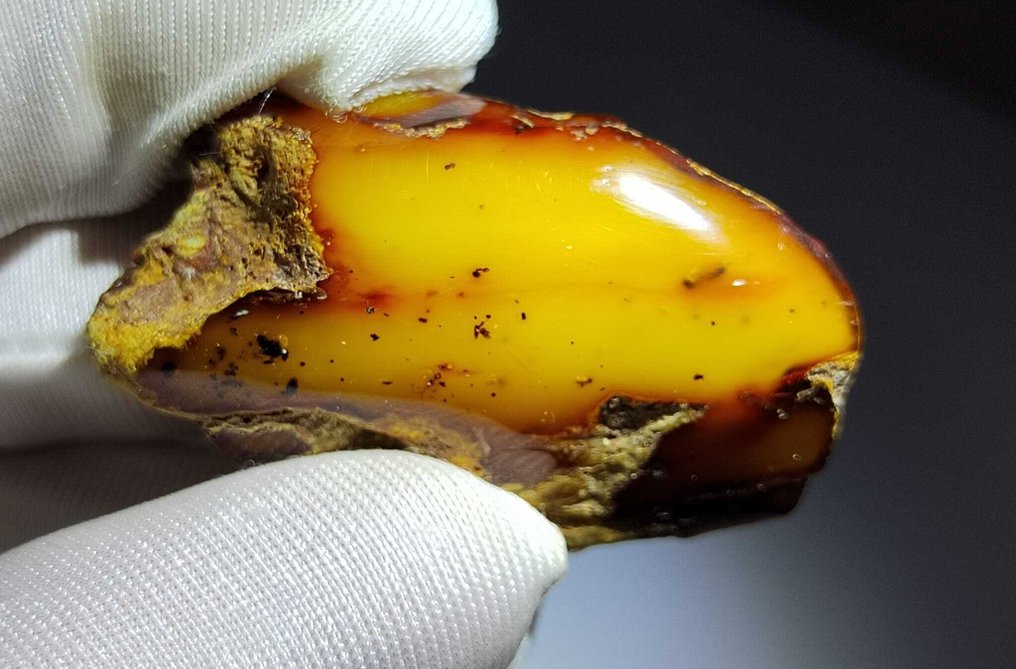 Baltic Amber - korkealaatuinen AAA - 355 karat- 71 g #1.0