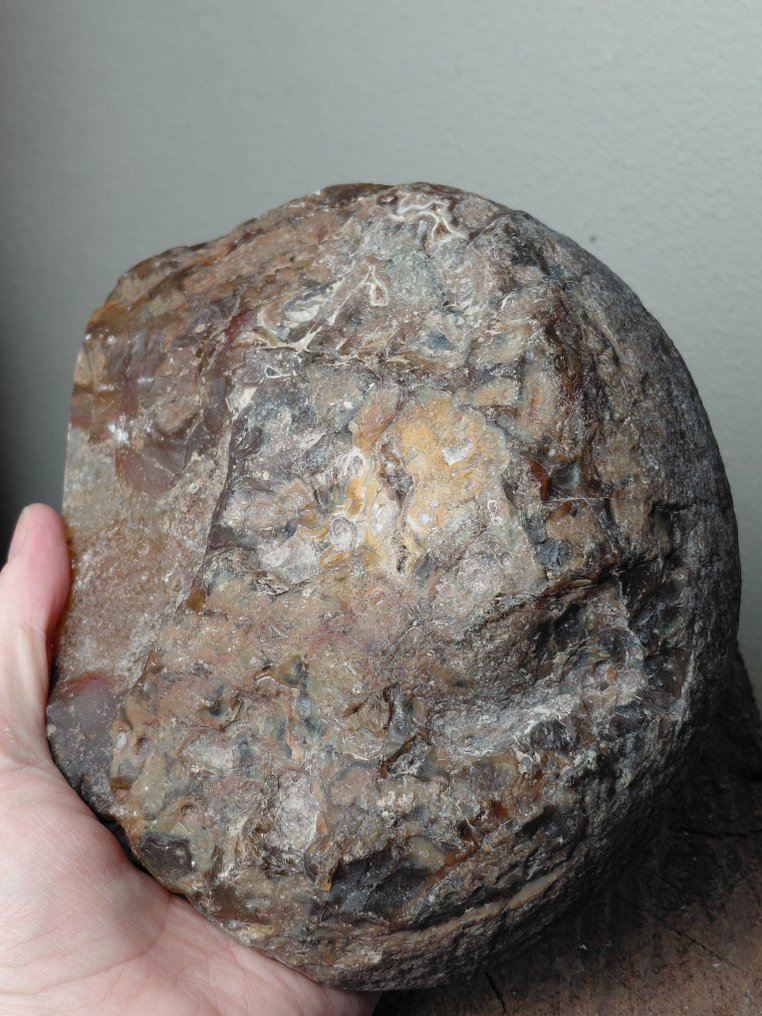 Stor sjelden agat geode. - Høyde: 8 cm - Bredde: 18 cm- 2.4 kg #3.2