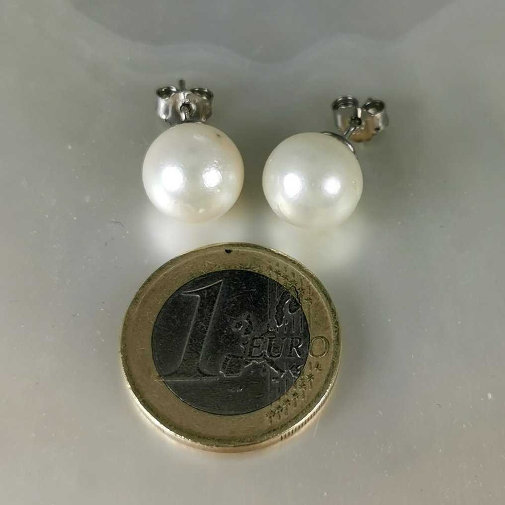 Senza prezzo di riserva - Orecchini Argento Perla - Huge Southsea RD 10,95mm #3.2