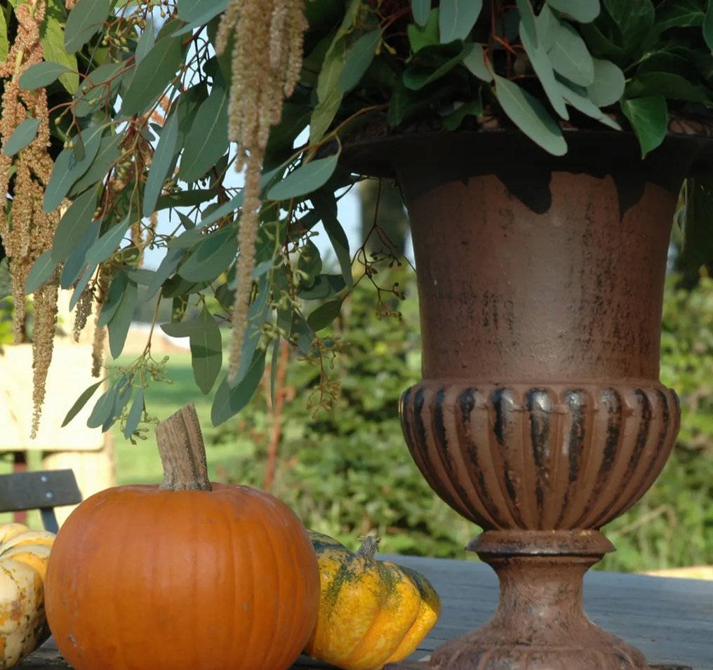 Jardinière (2) - cast iron #3.2