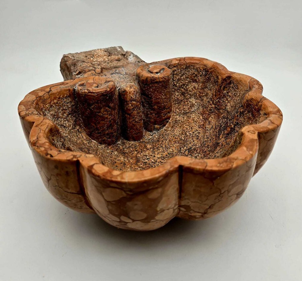  聖水字體 - 20世纪  #1.0