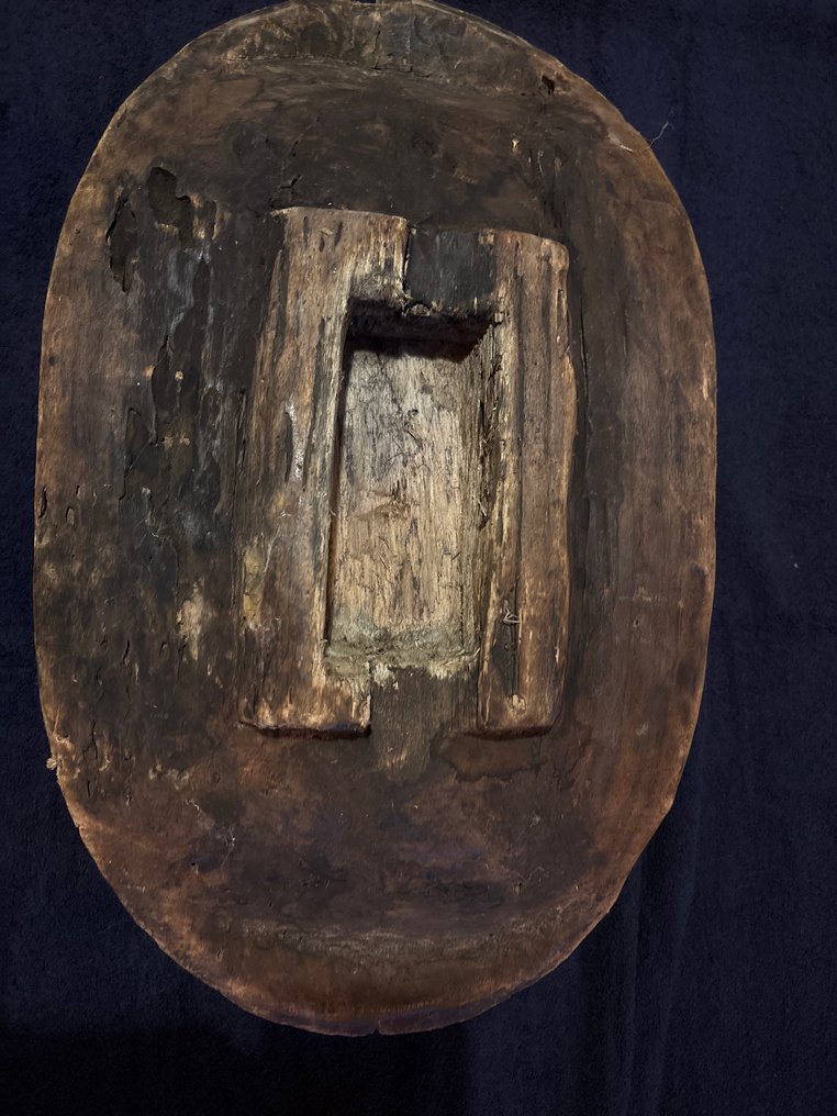 Cocodrilo a escala - R.D. Congo  (Sin precio de reserva) #2.1