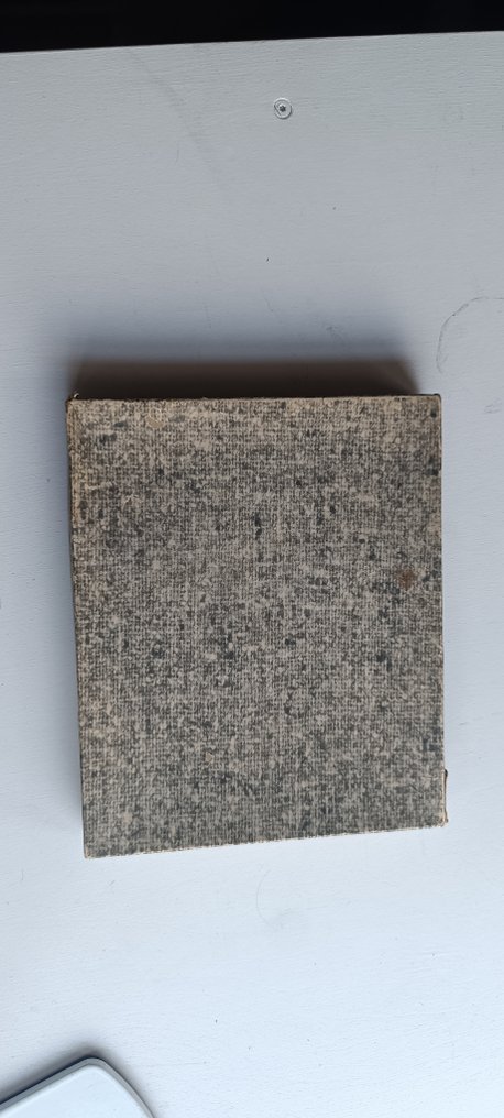 Collection de mini coquillages Coquillage marin - Mini shells (Sans prix de réserve) #4.3