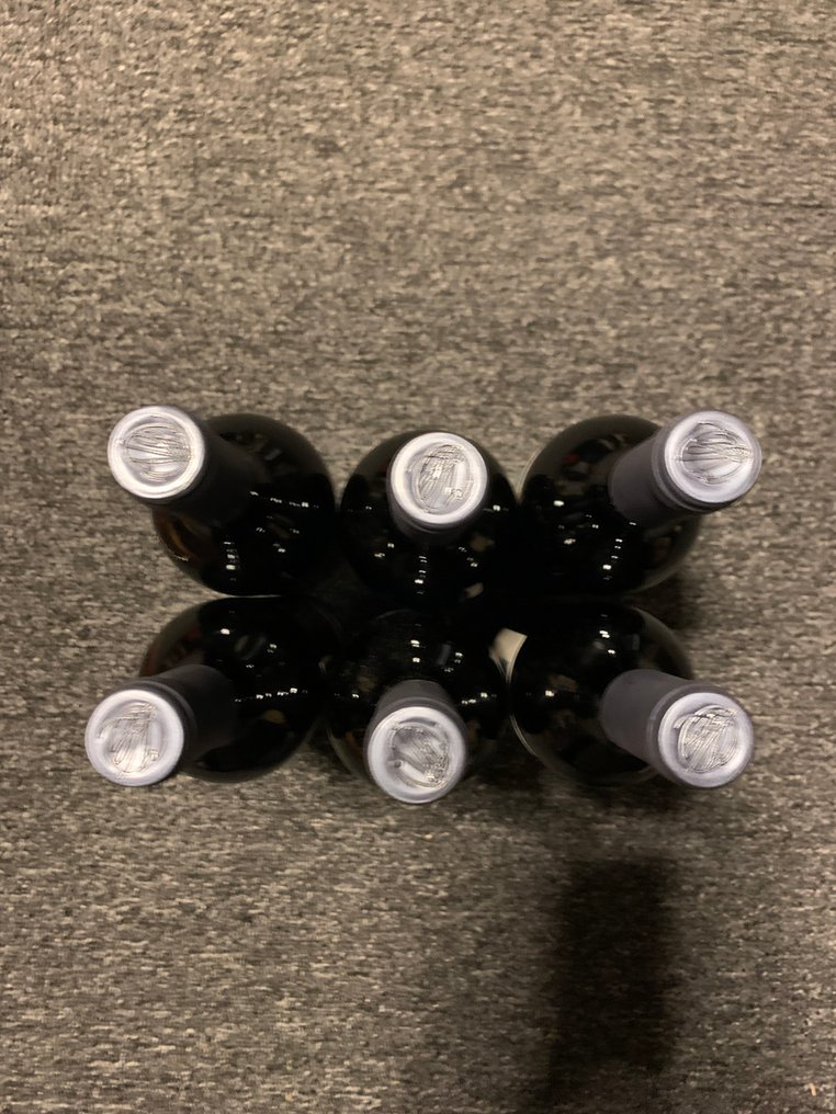 2006 Celler Vall Llach, Idus - 普歐拉特 - 6 瓶 (0.75L) #1.0