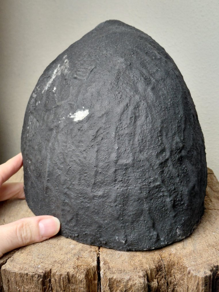Fantastisk stor Amethist geode - fine krystaller - Høyde: 17 cm - Bredde: 14 cm- 5.4 kg #3.2