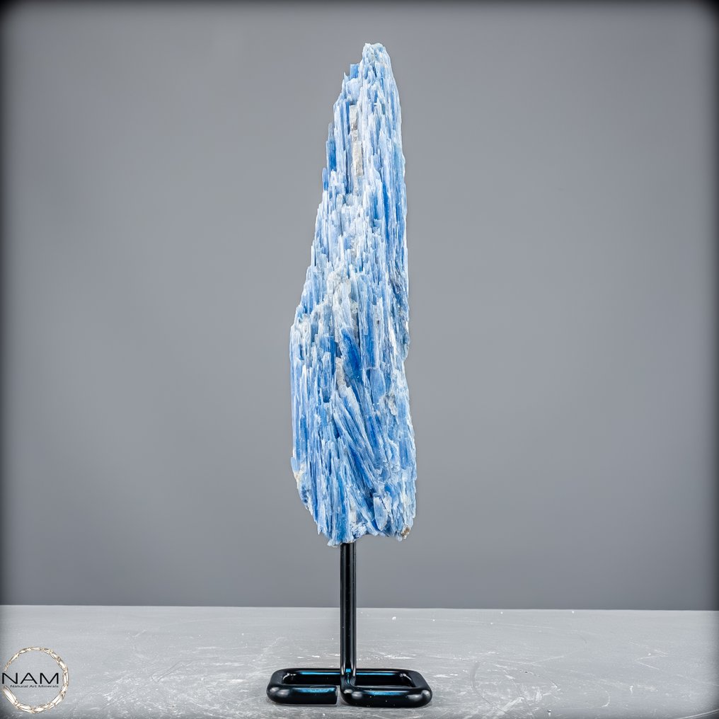 令人惊叹的蓝晶石挂架 独特的自然艺术品- 616.19 g #1.0