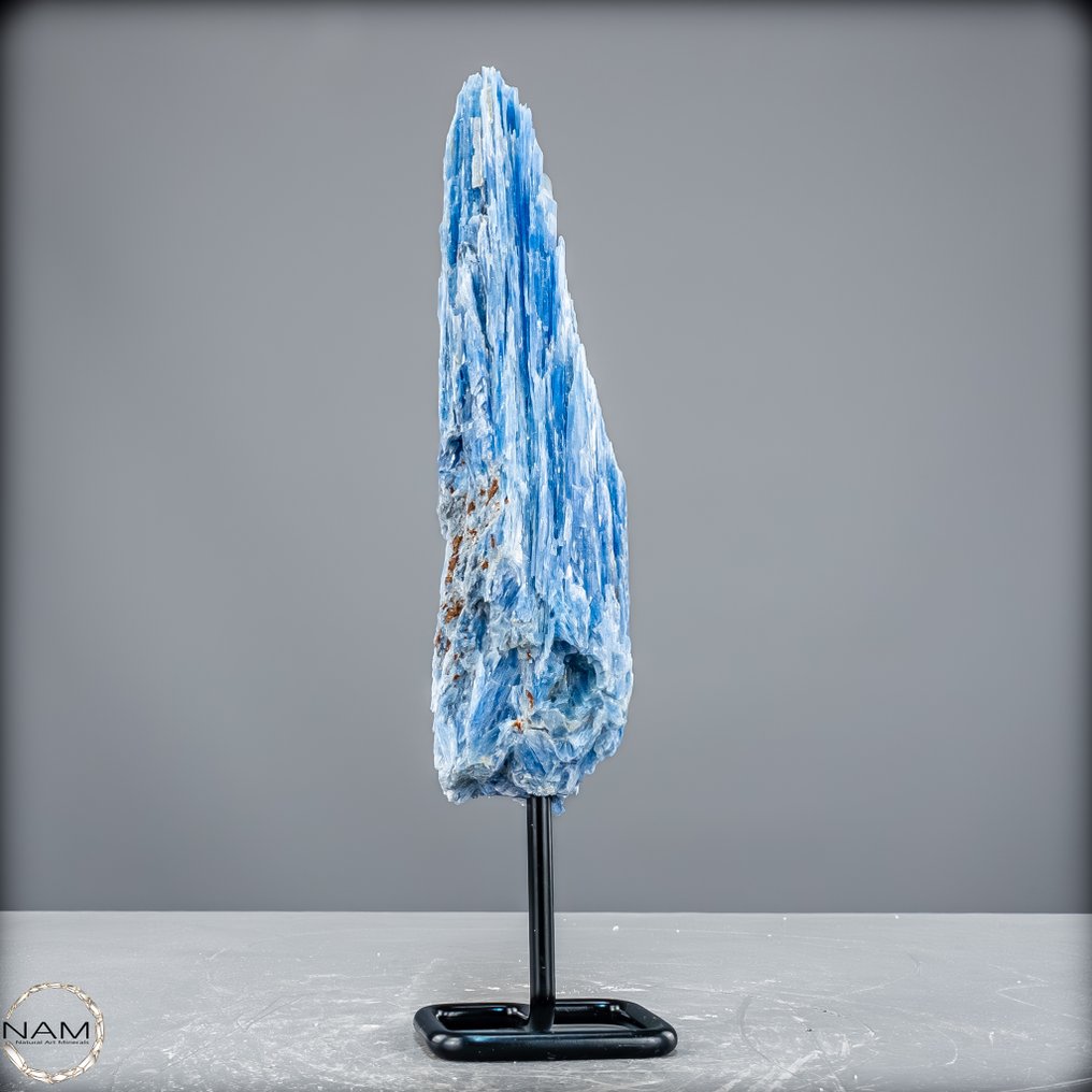 令人惊叹的蓝晶石挂架 独特的自然艺术品- 616.19 g #1.0