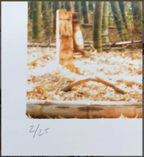 Jean Ruiter (NL, 1942) - “Bamboo Sculpture” #2.1