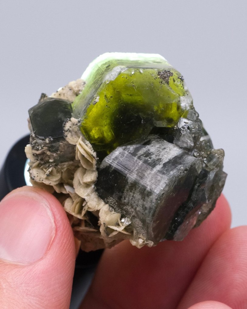 (EUROPEAN CLASSIC) APATIT VERDE Cluster FLOATER cu siderit - Înălțime: 3.3 cm - Lățime: 3.2 cm- 28 g - (1) #3.2